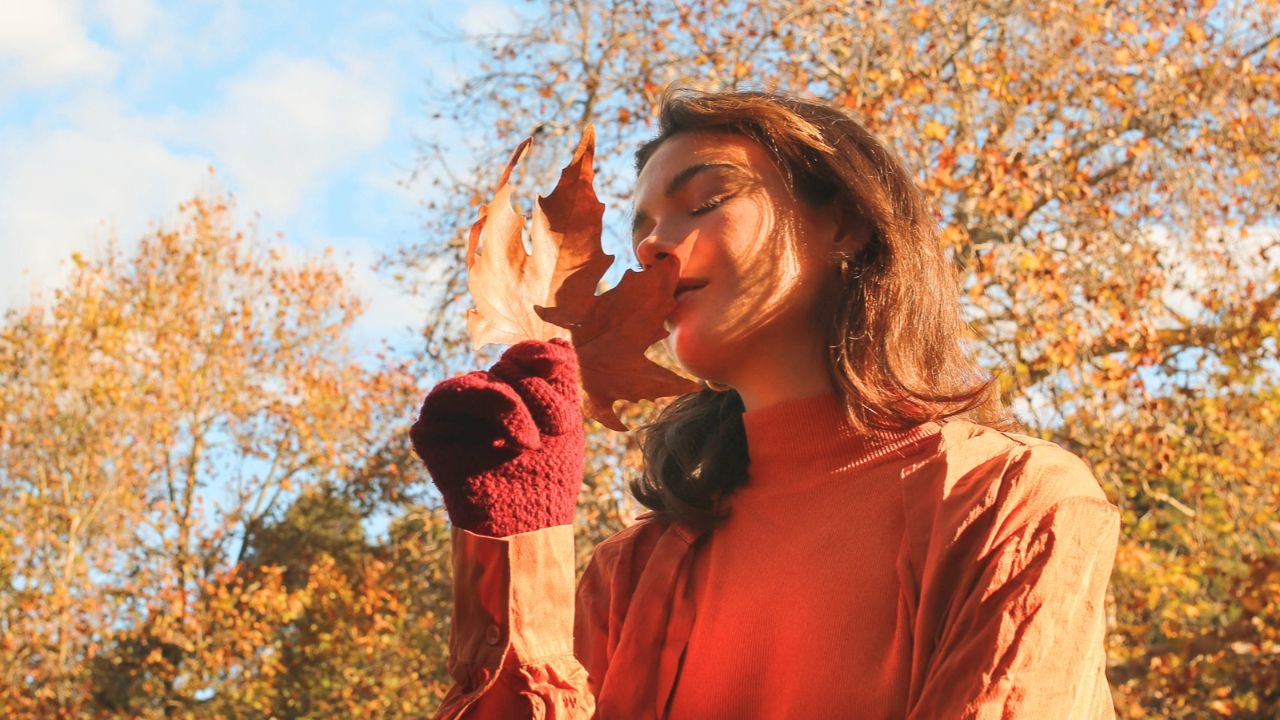 Why the Taurus Full Moon Is a Time to Rethink What You Need
